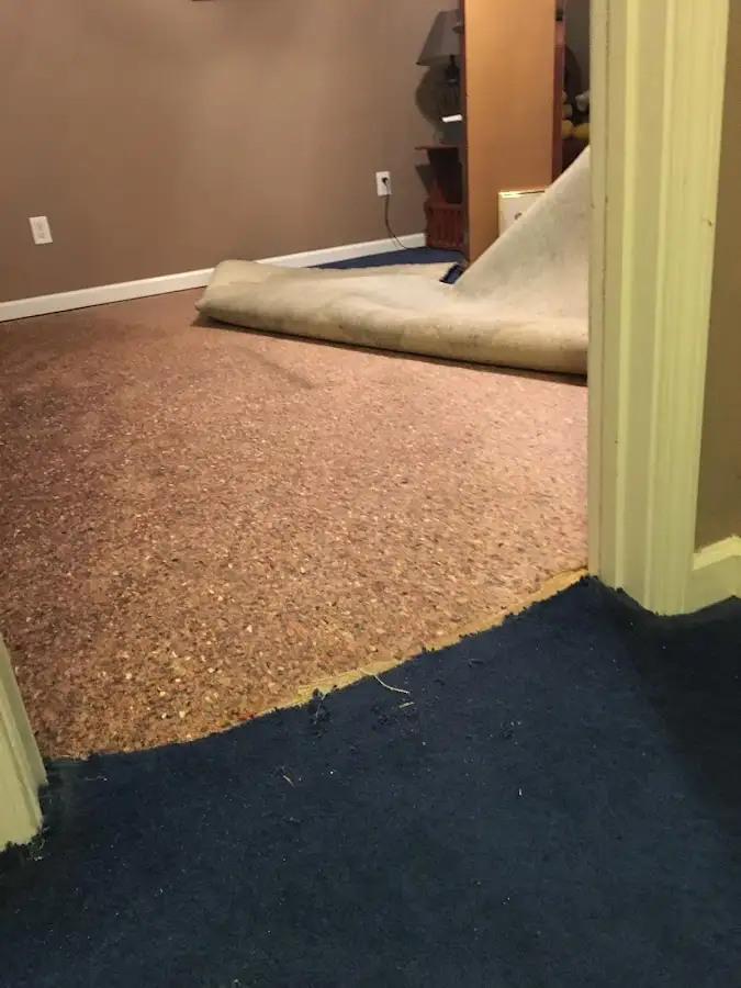 Carpet pad removal revealing water damage during Water Mitigation Services in Bluefield